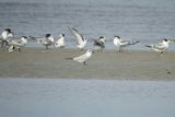 Pantai Satiruk sangat indah, tapi akses jalannya sulit