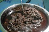 Sate lokan sajian Lebaran Gubernur Bengkulu