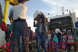 Perantau dari Kalimantan padati Pelabuhan Mamuju