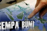 Gempa 5,5 SR goyang Halmahera