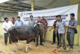 TJK Power komitmen salurkan CSR ke masyarakat hinterland