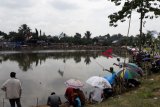 Ratusan warga mancing ikan berpita