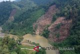 Selama 2018, terjadi tiga kasus pengrusakan hutan di kawasan TNKS