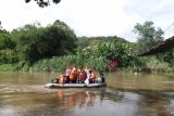 Dinas sebar 5.000 benih ikan di sungai