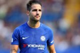 Chelsea segera dapatkan pengganti Fabregas