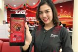 MAXstream Hadirkan Tayangan Event Cap Go Meh 2019 di Singkawang