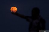 Supermoon terbesar tahun ini terlihat Rabu dini hari, warga pesisir waspadai banjir rob