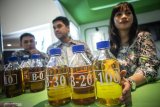 GAPKI: Serapan biodiesel strategi hadapi diskriminasi sawit UE
