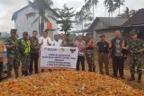 Bulog Cabang Bone Sulsel mulai beli jagung petani