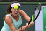 Cirstea singkirkan juara Wimbledon Kvitova di Australian Open