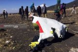 Pengamat soroti kesamaan dugaan penyebab kecelakaan Ethiophian-Lion