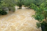 Ratusan  hektare kebun  karet  dan sawit  terendam banjir