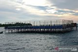 Membangun optimisme pemilu warga Bajo