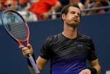 Andy Murray kembali bermain nomor tunggal di Cincinnati