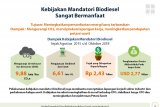 Indonesia tidak gentar melawan Eropa soal biodiesel