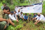 DSLNG kembali lepasliarkan 17 ekor maleo di Suaka Margasatwa Bakiriang