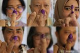 12 artis berpeluang jadi anggota DPR RI