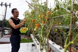 DKP Kota Makassar gelar pembinaan program pangan produktif
