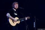 Ed Sheeran sedih kucing kesayangannya mati ditabrak mobil