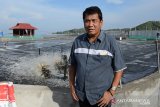 DR Hasanuddin Atjo, MP: Industrialisasi udang harus dipercepat