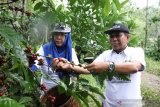 Sektor agribisnis pada 2021 tetap prospektif