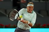 Cedera betis bayangi Kvitova di Prancis Open