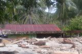 Sigi Sulteng diterjang banjir bandang