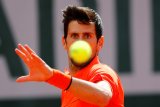 Djokovic melangkah ke babak kedua French Open setelah mengalahkan Hurkacz