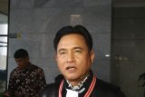 Yusril Ihza Mahendra: Putusan kasasi Syafruddin sudah final