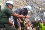 Semen Padang hijaukan lahan bekas tambang kapur dengan tanaman produktif (Video)