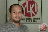 YLKI minta Pemerintah-KPPU harus awasi dugaan kartel tiket pesawat