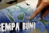 BPBD kaji dampak gempa dangkal Gianyar magnitudo 4,9