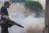 Fogging bukan pilihan utama atasi DBD, kata Kadinkes Kalteng