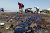 Tumpahan Minyak Mentah Pertamina di Tujuh Desa Pesisir