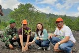 PLN bersama Pemkab Bolmong lakukan restorasi hutan mangrove Baturapa