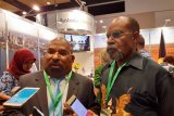 Pemprov Papua akan beri bantuan untuk korban gunung meletus PNG