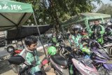Ternyata sebagian besar pengemudi ojek online wirausaha, pengamat pertanyakan penyerapan tenaga kerja
