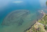 BPS : Selama Juni, 5.273 wisatawan asing kunjungi Sumatera Barat