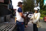 Pedagang ayam musiman bermunculan di Makassar