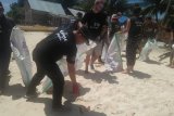 Bupati Konawe Utara Bersama LSM Perancis Aksi Bersih Sampah di Labengki