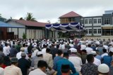 Pangkoarmada III serahkan sapi kurban kepada PHBI Sorong