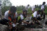 Tumbuhkan kesadaran lestarikan alam, SMN Kalsel tanam mangrove dan lepas tukik di Pariaman