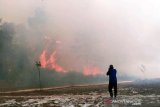 Pemkab Mitra imbau warga tak bakar lahan