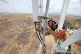 XL Axiata Perluas Jaringan 4G Dorong Perekonomian di Sumbawa