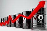Harga minyak naik menyusul pernyataan ekonomi positif ketua Fed dan OPEC