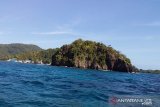 Kehadiran kawanan Duyung di pinggir  pantai Sangihe dijadikan objek wisata