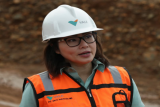 Deputi CEO PT Vale raih
