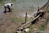 Irigasi sawah dari sumur bor
