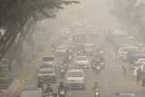 Dokter paru: Warga terdampak asap segera periksakan kesehatan, ini bahayanya
