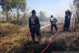 PMI kerahkan relawan atasi karhutla